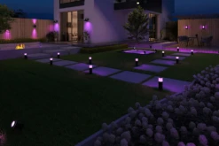 Calex Smart Outdoor Tuinspot RGB CCT 200cm Kabel Met Plug - 4W 380lm 9 Calex Smart Outdoor Tuinspot RGB CCT 200cm Kabel Met Plug - 4W 380lm -uinbenodigdheden Verkoop 2024 calex smart outdoor tuinspot rgb cct 200cm kabel met plug 4w 380lm netstroom 4