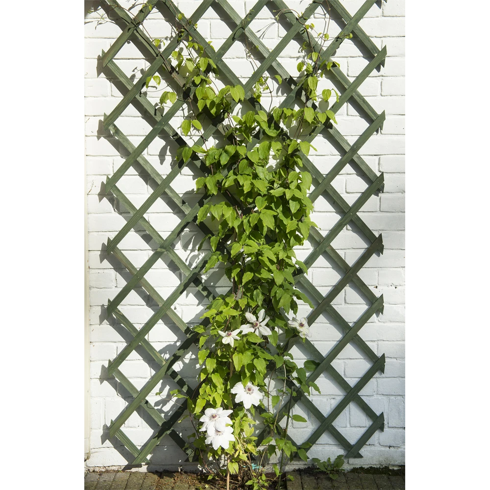 Nature - Houten Klimrek Groen 100x200cm 5 Nature - Houten Klimrek Groen 100x200cm - Image 3