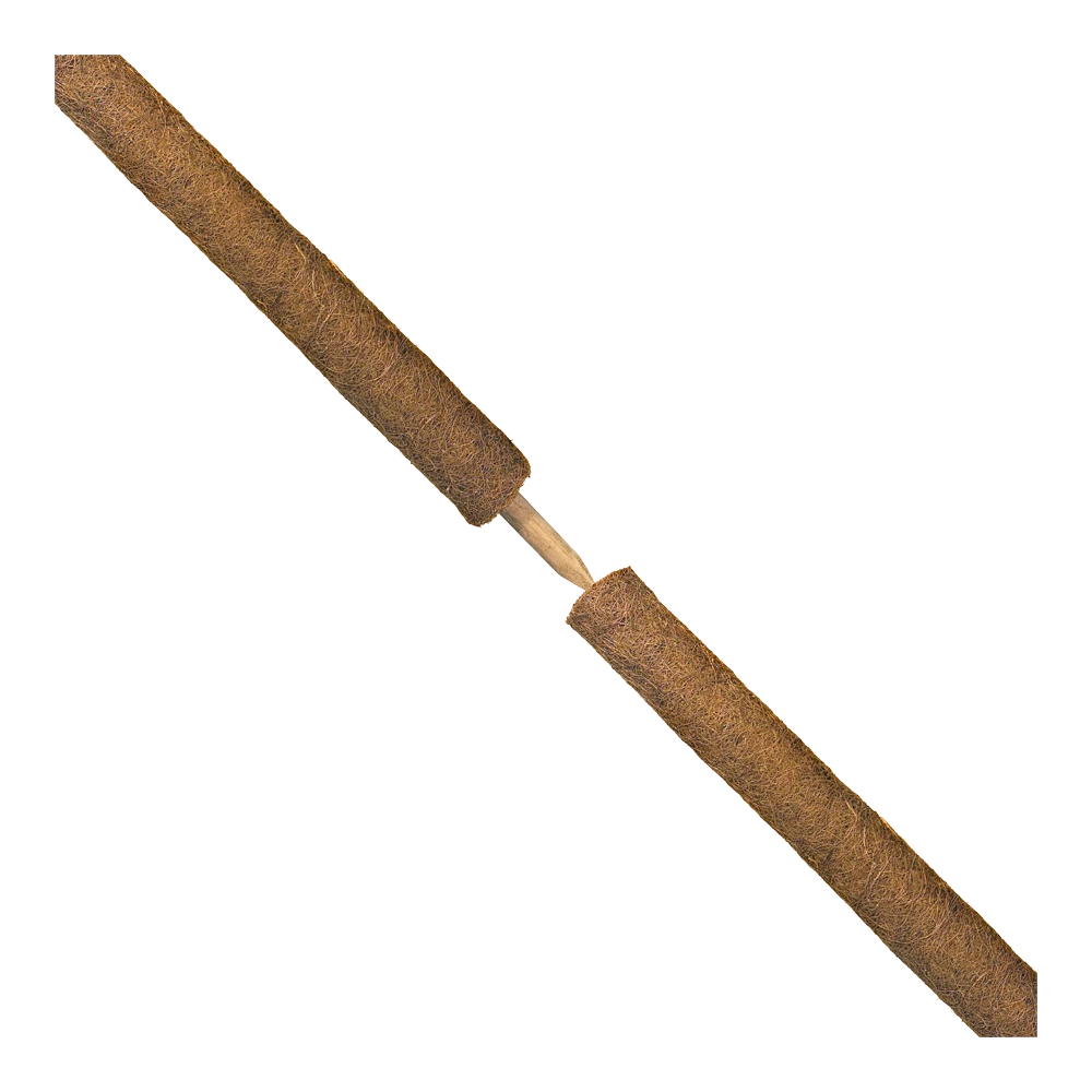 Nature - Kokosplantstok H120cm U00f860mm 4 Nature - Kokosplantstok H120cm U00f860mm - Image 2