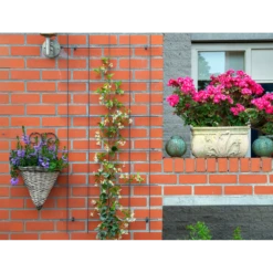 Nature - Metalen Klimrek Geplastificeerd Grijs H145x72,5cm 7 Nature - Metalen Klimrek Geplastificeerd Grijs H145x72,5cm -uinbenodigdheden Verkoop 2024 nature metalen klimrek geplastificeerd grijs h145x72 5cm 3 2