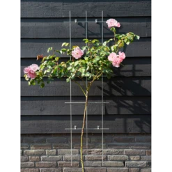 Nature - Metalen Klimrek Geplastificeerd Groen H145x42,5cm 7 Nature - Metalen Klimrek Geplastificeerd Groen H145x42,5cm -uinbenodigdheden Verkoop 2024 nature metalen klimrek geplastificeerd groen h145x42 5cm 2 2