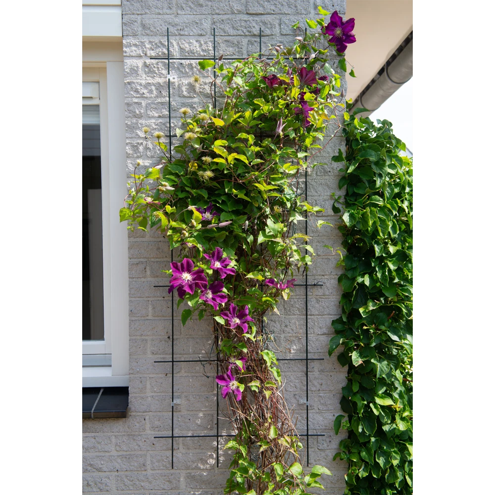 Nature - Metalen Klimrek Geplastificeerd Groen H145x57cm 4 Nature - Metalen Klimrek Geplastificeerd Groen H145x57cm - Image 2