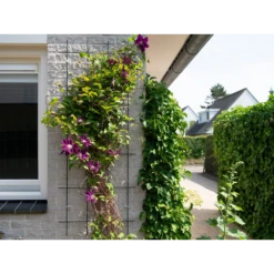 Nature - Metalen Klimrek Geplastificeerd Groen H145x57cm 8 Nature - Metalen Klimrek Geplastificeerd Groen H145x57cm -uinbenodigdheden Verkoop 2024 nature metalen klimrek geplastificeerd groen h145x57cm 3 2