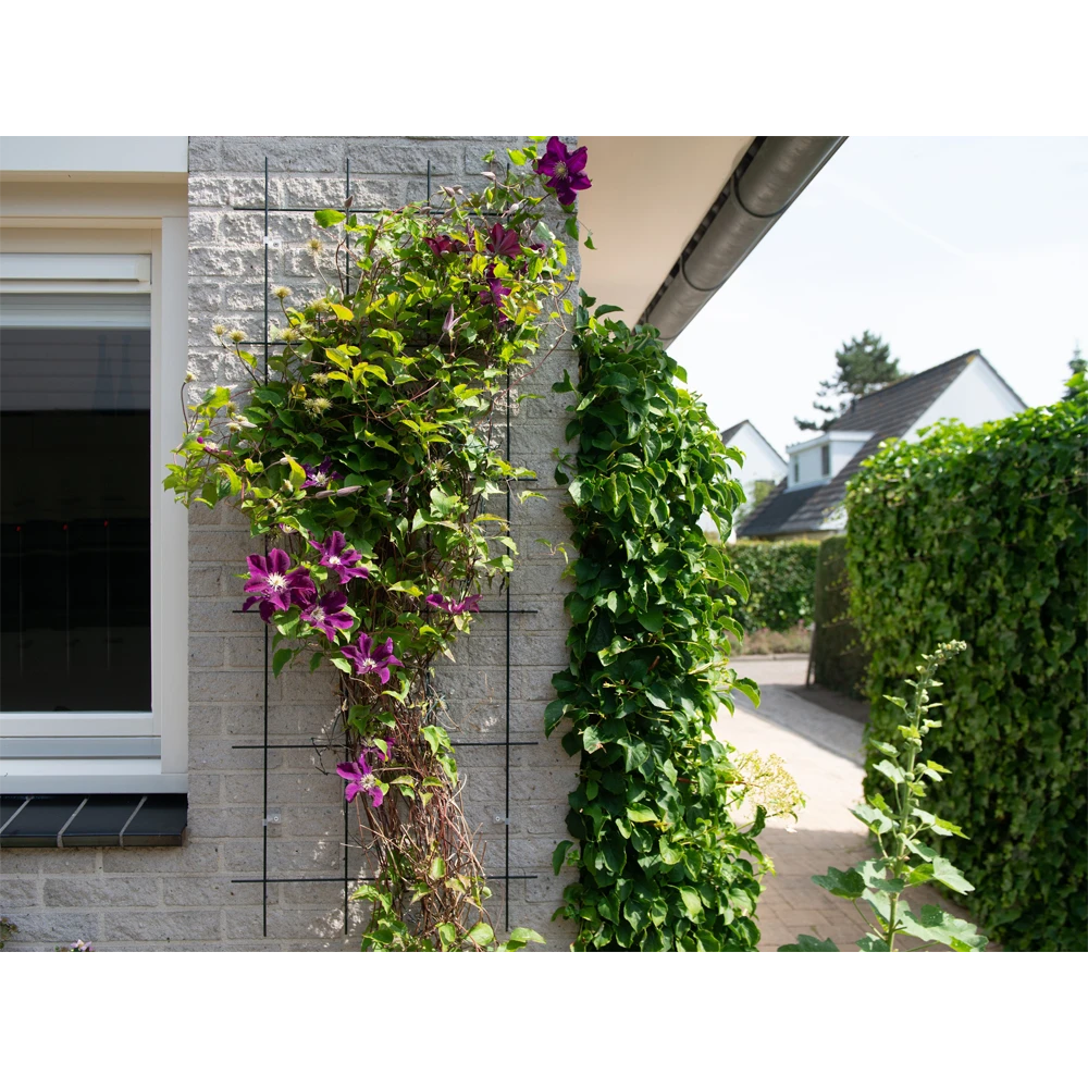 Nature - Metalen Klimrek Geplastificeerd Groen H145x57cm 5 Nature - Metalen Klimrek Geplastificeerd Groen H145x57cm - Image 3