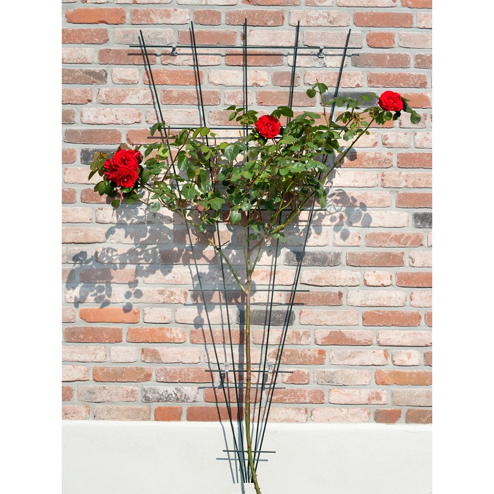 Nature - Metalen Klimrekv Geplastificeerd Groen H145x5/75cm 4 Nature - Metalen Klimrekv Geplastificeerd Groen H145x5/75cm - Image 2