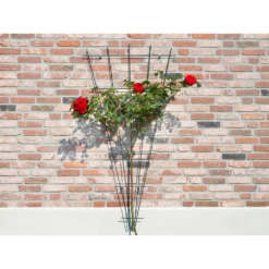 Nature - Metalen Klimrekv Geplastificeerd Groen H145x5/75cm 8 Nature - Metalen Klimrekv Geplastificeerd Groen H145x5/75cm -uinbenodigdheden Verkoop 2024 nature metalen klimrekv geplastificeerd groen h145x5 75cm 3 2