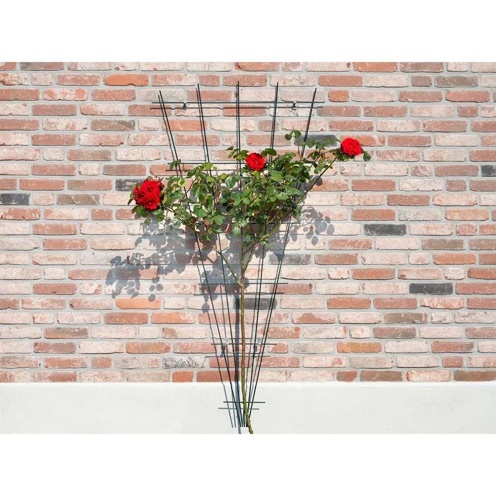 Nature - Metalen Klimrekv Geplastificeerd Groen H145x5/75cm 5 Nature - Metalen Klimrekv Geplastificeerd Groen H145x5/75cm - Image 3