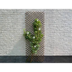 Nature - Wilgenklimrek 60x180cm 9 Nature - Wilgenklimrek 60x180cm -uinbenodigdheden Verkoop 2024 nature wilgenklimrek 60x180cm 3 2