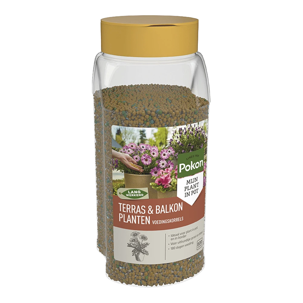 Pokon Terras & Balkon Planten Voedingskorrels 800g - Tuinplanten Voeding 3 Pokon Terras & Balkon Planten Voedingskorrels 800g - Tuinplanten Voeding