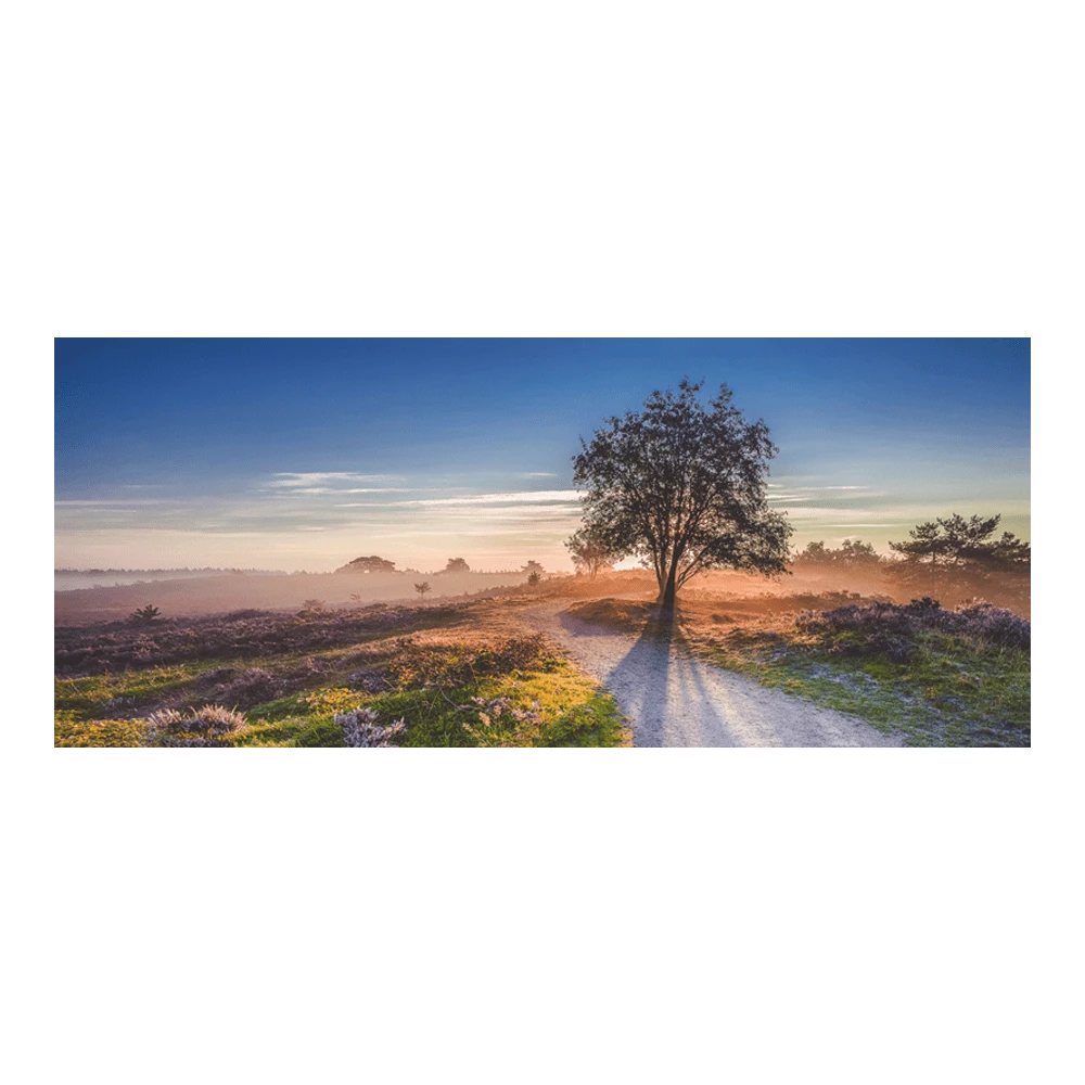 Tuinposter Boom Op Heide - 110x45cm 3 Tuinposter Boom Op Heide - 110x45cm