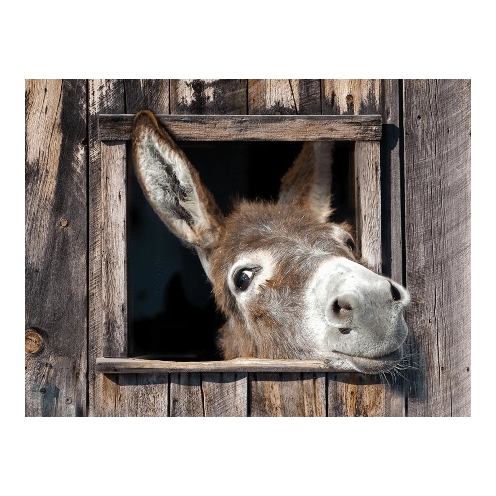 Tuinposter Ezel - 80x60cm 3 Tuinposter Ezel - 80x60cm